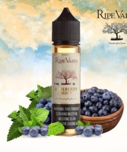 RIPE VAPES BLUEBERRY MINT E-LIQUID NOW IN EGYPT - رايب فيبس بريميم فيب ليكويد