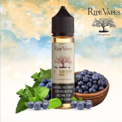 RIPE VAPES BLUEBERRY MINT E-LIQUID NOW IN EGYPT - رايب فيبس بريميم فيب ليكويد