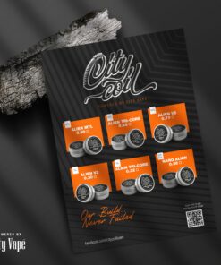 CITY COIL DL ALIEN V2 0.30 OHM BOX OF 2 COILS