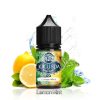 JUICY SPA LEMON MINT SALT NIC. E-LIQUID BY ASMODUS - جوسي سبا فيب بريميوم ليكويد سولت نيكوتين