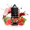 JUICY BEAST WATERMELON STRAWBERRY SALT NIC. E-LIQUID BY ASMODUS - ليكويد بريميوم جوسي بيست من از موديس