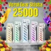 VOZOL GEAR SHISHA 25K PUFFS DISPOSABLE VAPE EGYPT POD