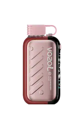Vozol Gear Ice Sweet 50K Disposable Vape | Vape Egypt Store Vozol Gear Ice Sweet 50K Disposable Vape | Vape Egypt Store