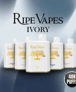 RIPE VAPES IVORY DISPOSABLE VAPE POD - VAPE STORE EGYPT