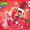 chubby-berry-lime-mint-ice-eliquid-70vg-vape-egypt-فيب