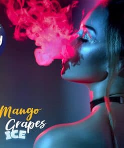 chubby-mango-grape-ice-eliquid-70vg-vape-egypt-فيب