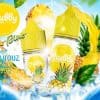 chubby-pino-pino-ice-eliquid-70vg-vape-egypt-فيب