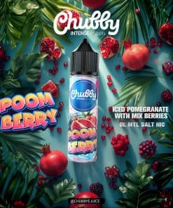 chubby-pom-berry-pomegranate-ice-eliquid-70vg-vape-egypt-فيب
