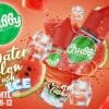 chubby-watermelon-lush-ice-eliquid-70vg-vape-egypt-فيب