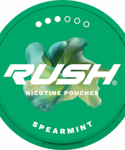 rush-nicotine-pouches-spearmint-pro-11mg-vape-egypt