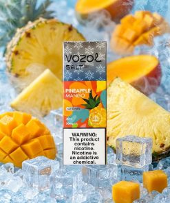 Vozol Prime Pineapple Mango Ice Salt Vape Eliquid 50mg - vape store Egypt