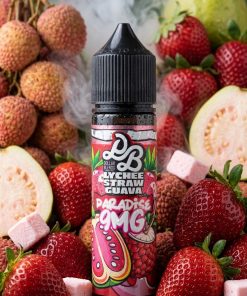 DOLLAR MTL PARADISE ELIQUID 60ml bottle showing lychee strawberry guava graphics for vape Egypt.