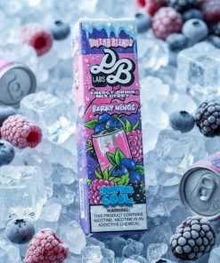 DOLLAR SALT BERRY WINGS ELIQUID bottle displaying energy drink and mixed berries graphics.