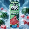 DOLLAR SALT LUSH MELON SUPER COOL ELIQUID bottle displaying sweet watermelon ice graphics.