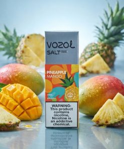 VOZOL PRIME PINEAPPLE MANGO SALT NORMAL SERIES PHOTO