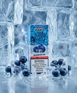 NASTY SUPER COOL BLUEBERRY ICE SALT ELIQUID bottle for vape Egypt.
